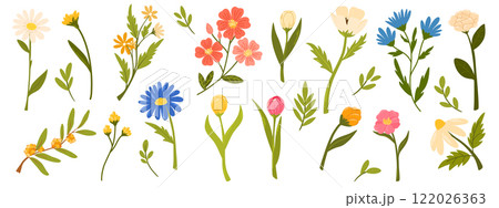 2594_flower_setnew 122026363