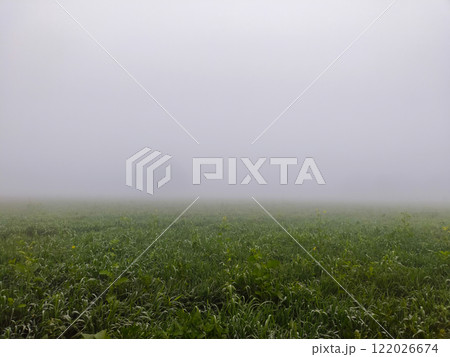 Beautiful natural background Beautiful natural background 122026674