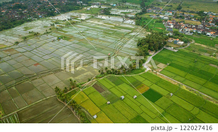Rice Terrace, Ubud, Bali, Indonesia. Top view 122027416