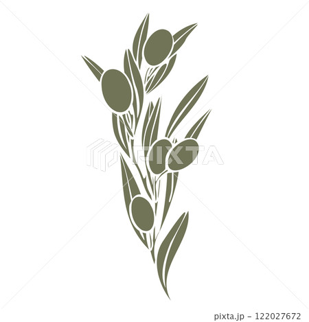 Hand drawn olive branch vector illustration with linear silhouette with fruits and leaves in olive green color. Minimalistic composition. elegant botanical elements for logo, packaging, textiles, menu 122027672