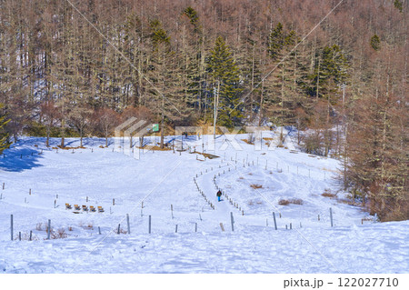冬の長野県富士見町の入笠山の北面から湿原方面を見下ろす 122027710