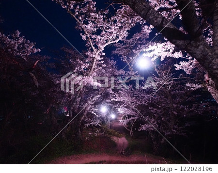 光城山の夜桜 光城山の夜桜 122028196
