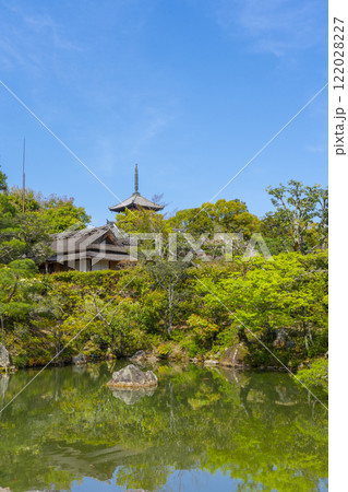 仁和寺御所庭園　北庭　飛濤亭と五重塔 122028227