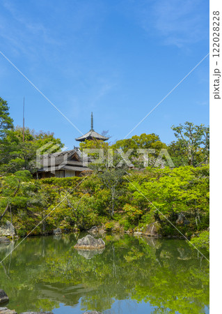 仁和寺御所庭園　北庭　飛濤亭と五重塔 122028228