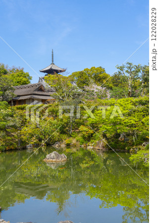 仁和寺御所庭園　北庭　飛濤亭と五重塔 122028229