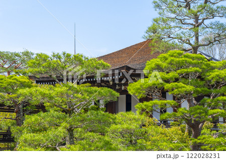 仁和寺御所庭園 北庭 霊明殿 仁和寺御所庭園 北庭 霊明殿 122028231