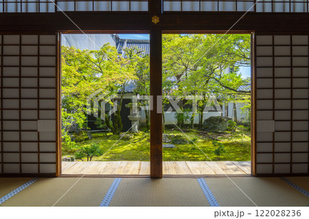 仁和寺御所庭園　黒書院南側の苔庭　額縁構図 122028236