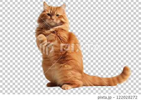 A cat stands up on the white background 122028272
