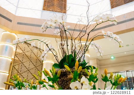 Orchid flower arrangement 122028911