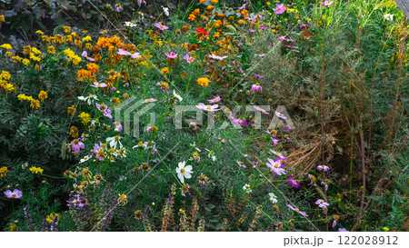 Summer landscape background with many beautiful flowers. Multicolored flowering summer meadow with Zinnia, Marigold, Cosmos, Black Eyed Susan, Midwest wildflower field. 122028912