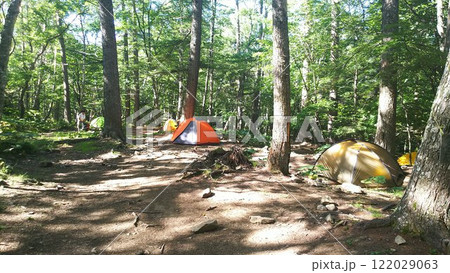 富士見平小屋 森の中でソロキャンプを楽しむ 富士見平小屋 森の中でソロキャンプを楽しむ 122029063