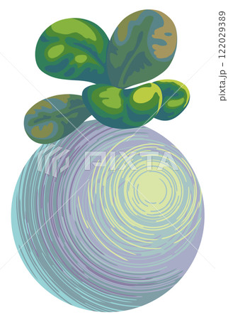 indoor miniature plant baby rubber plant or peperomia indoor miniature plant baby rubber plant or peperomia 122029389