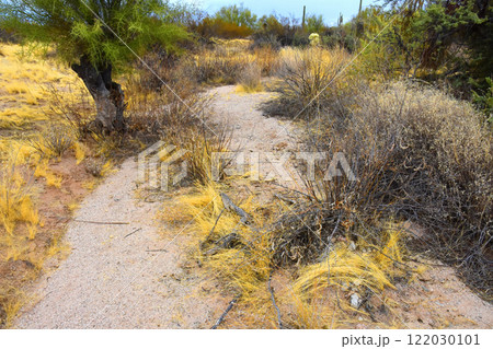 Arizona Desert Arroyo Arizona Desert Arroyo 122030101