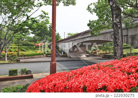 福岡県宗像市にあるツツジ咲く宗像ユリックス 122030275