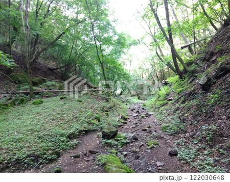 緑豊かな夏山の登山道 122030648