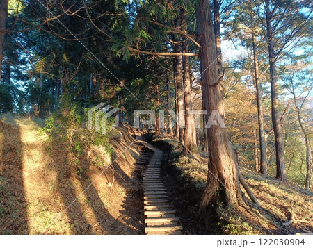 丹沢表参道大倉尾根の登山道 丹沢表参道大倉尾根の登山道 122030904
