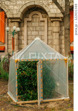 greenhouses to protect seedlings from frost. emergency protection of bushes in Tashkent from frost 122031389