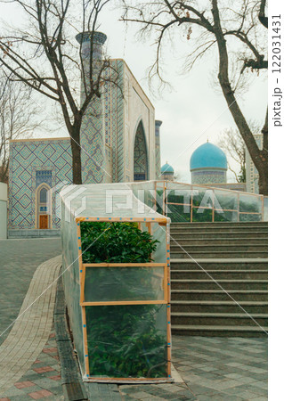 greenhouses to protect seedlings from frost. emergency protection of bushes in Tashkent from frost greenhouses to protect seedlings from frost. emergency protection of bushes in Tashkent from frost 122031431