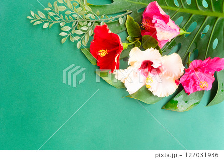 Tropical flowers and leaves, summer vacational background Tropical flowers and leaves, summer vacational background 122031936