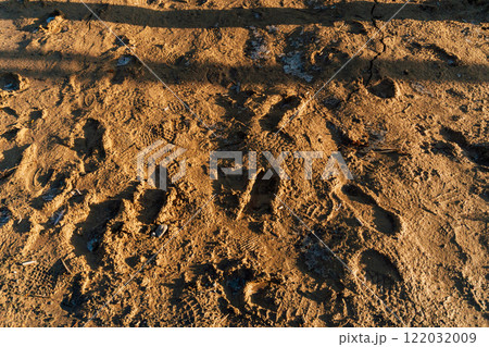 lack of lawn in the city. problem with landscape design in Kazakhstan. dirt and slush the sidewalks 122032009