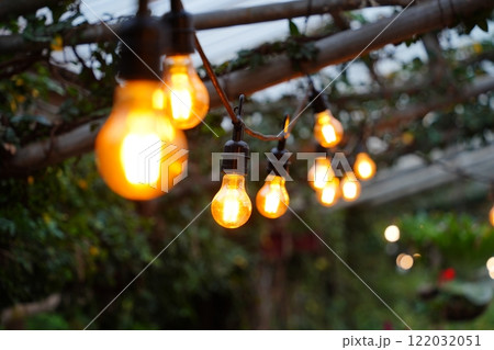 Vintage Decorative light bulbs hanging in garden Vintage Decorative light bulbs hanging in garden 122032051