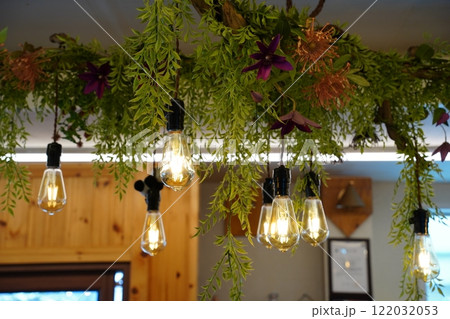 Vintage Decorative light bulbs hanging in garden Vintage Decorative light bulbs hanging in garden 122032053