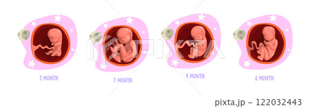 Human Embryo Month Development Stages Medical Infographic Element Vector Set Human Embryo Month Development Stages Medical Infographic Element Vector Set 122032443