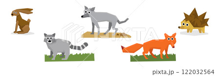 Forest and Woodland Animal and Wild Fauna Vector Set Forest and Woodland Animal and Wild Fauna Vector Set 122032564
