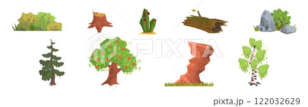 Forest Nature and Woodland Outdoor Element Vector Set 122032629