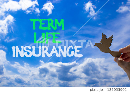 Term life insurance symbol. Concept words Term life insurance on beautiful blue sky. Beautiful blue sky background. Businessman hand with wooden bird. Business term life insurance concept. Copy space. Term life insurance symbol. Concept words Term life insurance on beautiful blue sky. Beautiful blue sky background. Businessman hand with wooden bird. Business term life insurance concept. Copy space. 122033902