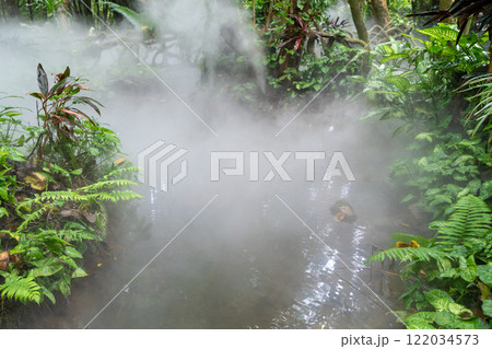 A Misty Tropical Rainforest with a Beautiful, Glistening Stream Meandering Through It 122034573
