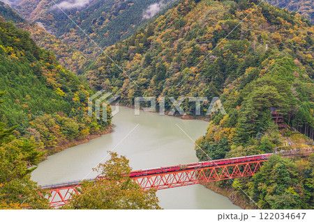 川根本町の秋の奥大井湖上駅の奥大井レインボーブリッジの風景(静岡県) 122034647