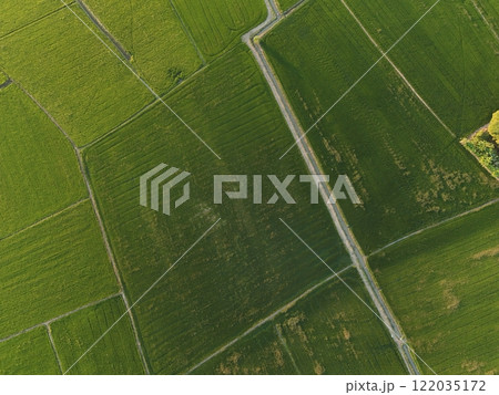 Green rice Fileds aerial view Thailand countryside 122035172