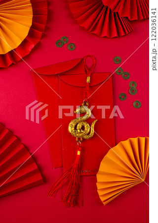 Chinese new year concept. Lunar year of snake 122036141