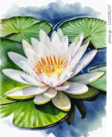 Water lilies or lotuses watercolor, Painting Art of flowers on water Water lilies or lotuses watercolor, Painting Art of flowers on water 122036237