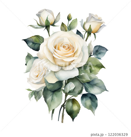 Watercolor bouquet white roses flowers, symbol of love, wedding, purity, vector illustration 122036329
