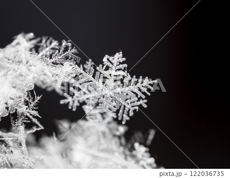 snapshot of a small snowflake taken during a snowfall 122036735