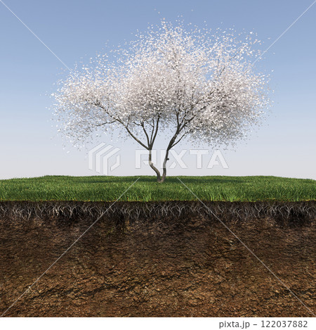 tree on the grass and a slice of soil under it, 3d render tree on the grass and a slice of soil under it, 3d render 122037882