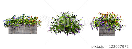 decorative flower in a pot isolated on white background, 3D illustration, cg render decorative flower in a pot isolated on white background, 3D illustration, cg render 122037972
