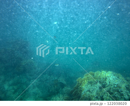 sea fish, coral reef, underwater sea fish, coral reef, underwater 122038020