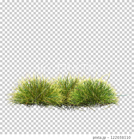 wild field grass, isolated on a transparent background, 3D illustration, cg render wild field grass, isolated on a transparent background, 3D illustration, cg render 122038110