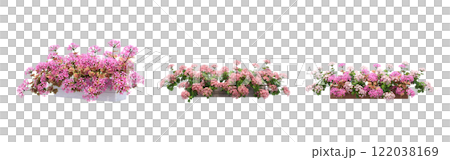 decorative flower in a pot isolate on a transparent background, 3D illustration, cg render 122038169