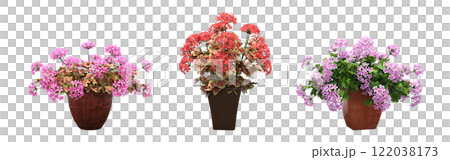 decorative flower in a pot isolate on a transparent background, 3D illustration, cg render decorative flower in a pot isolate on a transparent background, 3D illustration, cg render 122038173