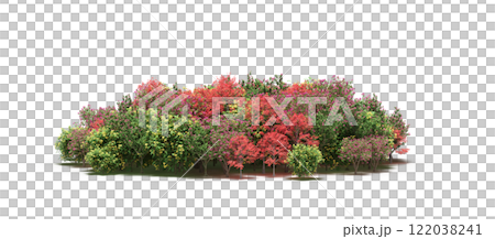 group of trees isolated on a transparent background, big trees in the forest, 3D illustration, cg render group of trees isolated on a transparent background, big trees in the forest, 3D illustration, cg render 122038241