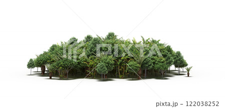 group of trees isolated on a transparent background, big trees in the forest, 3D illustration, cg render 122038252