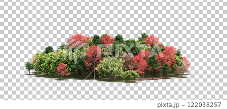group of trees isolated on a transparent background, big trees in the forest, 3D illustration, cg render 122038257