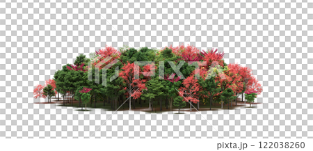 group of trees isolated on a transparent background, big trees in the forest, 3D illustration, cg render group of trees isolated on a transparent background, big trees in the forest, 3D illustration, cg render 122038260