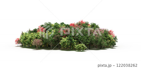 group of trees isolated on a transparent background, big trees in the forest, 3D illustration, cg render 122038262