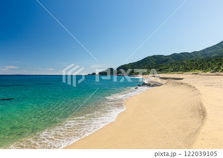 屋久島最大の海亀産卵地 永田いなか浜(夏 屋久島最大の海亀産卵地 永田いなか浜(夏 122039105
