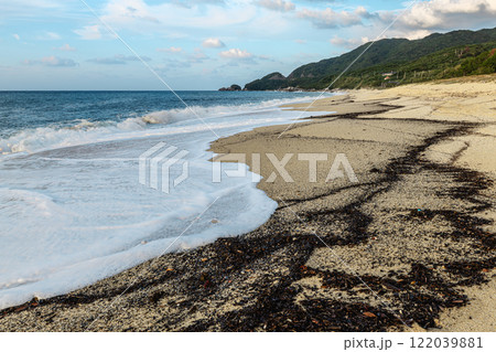 屋久島最大の海亀産卵地　永田いなか浜(秋 122039881